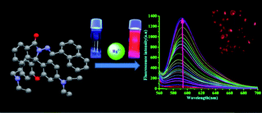 Graphical abstract: Rhodamine derived colorimetric and fluorescence mercury(ii) chemodosimeter for human breast cancer cell (MCF7) imaging