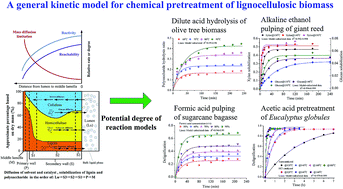 Graphical abstract: Kinetic modeling of atmospheric formic acid pretreatment of wheat straw with “potential degree of reaction” models