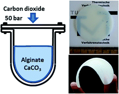 Graphical abstract: A novel approach to alginate aerogels: carbon dioxide induced gelation