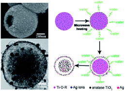 Graphical abstract: One pot microwave-assisted synthesis of Ag decorated yolk@shell structured TiO2 microspheres