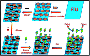 Graphical abstract: Retracted Article: Multiwalled carbon nanotube wrapped nanoflake graphene composites for sensitive biosensing of leviteracetum
