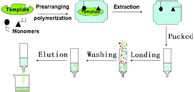 Graphical abstract: A novel bifunctional molecularly imprinted polymer for determination of Congo red in food