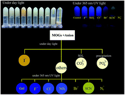 Graphical abstract: Luminescent Zn(ii)–terpyridine metal–organic gel for visual recognition of anions