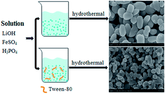 Graphical abstract: LiFePO4 nanoparticles growth with preferential (010) face modulated by Tween-80