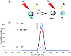 Graphical abstract: A simple cyanide sensing probe based on Ag/Fe3O4 nanoparticles
