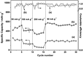 Graphical abstract: Role of organic solvent addition to ionic liquid electrolytes for lithium–sulphur batteries