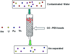 Graphical abstract: Amazing selectivity for Am(iii) uptake by composite graphene oxide-PES polymeric beads prepared by phase inversion