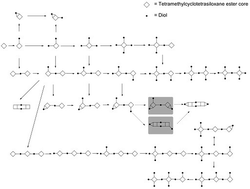 Graphical abstract: Cyclotetrasiloxane frameworks for the chemoenzymatic synthesis of oligoesters