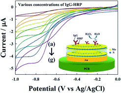 Graphical abstract: In situ synthesis of MoS2 on a polymer based gold electrode platform and its application in electrochemical biosensing