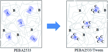 Graphical abstract: Improving CO2/N2 separation performance using nonionic surfactant Tween containing polymeric gel membranes