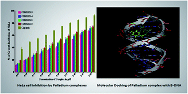 Graphical abstract: Interaction of bio-relevant thio-ether and thiols with dinuclear Pd(ii) complex: kinetics, mechanism, bioactivity in aqueous medium and molecular docking