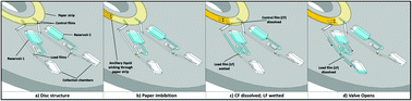 Graphical abstract: Paper imbibition for timing of multi-step liquid handling protocols on event-triggered centrifugal microfluidic lab-on-a-disc platforms