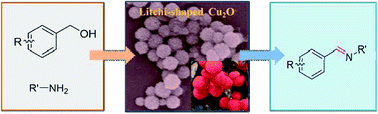 Graphical abstract: Facile synthesis of litchi shaped cuprous oxide and its application in the aerobic oxidative synthesis of imines