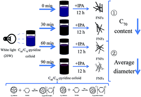 Graphical abstract: The effect of light irradiation on the growth of C60–C70 nanofibers