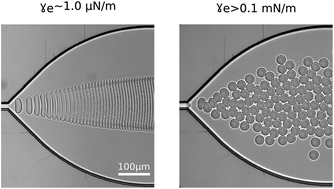 Ultra permissions permissions
