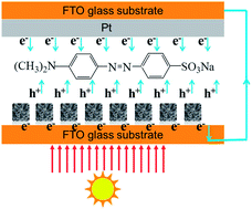 Graphical abstract: Efficient photocatalysts from polymorphic cuprous oxide/zinc oxide microstructures