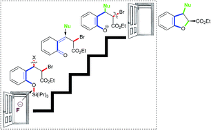 Graphical abstract: One-pot cascade synthesis of 2,3-disubstituted 2,3-dihydrobenzofurans via ortho-quinone methide intermediates generated in situ
