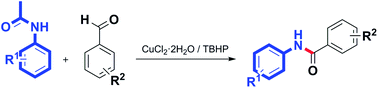 Graphical abstract: Copper catalysed C–N bond formation via a sequential acylation and deacylation process: a novel strategy for the synthesis of benzanilides