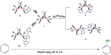 Graphical abstract: Synthesis, characterization, electrochemical properties and catalytic reactivity of N-heterocyclic carbene-containing diiron complexes