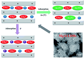 Graphical abstract: MgAl layered double hydroxides with chloride and carbonate ions as interlayer anions for removal of arsenic and fluoride ions in water