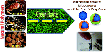 Graphical abstract: Preparation of magnetic pH-sensitive microcapsules with an alginate base as colon specific drug delivery systems through an entirely green route