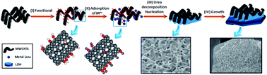 Graphical abstract: 3D hierarchical honeycomb structured MWCNTs coupled with CoMnAl–LDO: fabrication and application for ultrafast catalytic degradation of bisphenol A