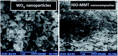Graphical abstract: Utilization of tungsten trioxide nanoparticles and nickel oxide pillared montmorillonite nanocomposites for the adsorption of the drug dexamethasone from aqueous solutions