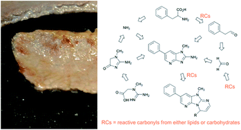 Graphical abstract: 2-Amino-1-methyl-6-phenylimidazo[4,5-b]pyridine (PhIP) formation and fate: an example of the coordinate contribution of lipid oxidation and Maillard reaction to the production and elimination of processing-related food toxicants