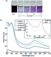 Graphical abstract: Synthesis of diallyl disulfide (DADS) induced gold nanoparticles: characterization and study of its biological activity in human leukemic cell-lines