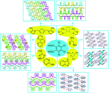 Graphical abstract: Using halogen⋯halogen interactions or C/N–H⋯Cl hydrogen bonding to direct crystal packing in tetrachlorophthalic acid with N-heterocyclic compounds