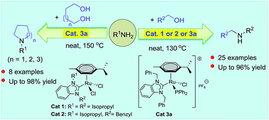 Graphical abstract: Benzimidazolin-2-ylidene N-heterocyclic carbene complexes of ruthenium as a simple catalyst for the N-alkylation of amines using alcohols and diols