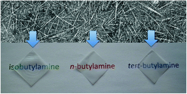 Graphical abstract: Butylamino-functionalized cellulose nanocrystal films: barrier properties and mechanical strength