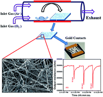 Graphical abstract: Occurrence of non-equilibrium orthorhombic SnO2 phase and its effect in preferentially grown SnO2 nanowires for CO detection