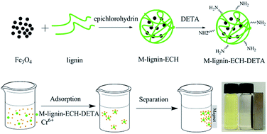 Graphical abstract: Novel magnetic lignin composite sorbent for chromium(vi) adsorption