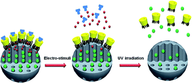 Graphical abstract: The dual-stimulated release of size-selected cargos from cyclodextrin-covered mesoporous silica nanoparticles