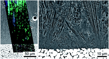 Graphical abstract: Oriented crystallization of a β-Quartz Solid Solution from a MgO/Al2O3/SiO2 glass in contact with tetragonal ZrO2 ceramics