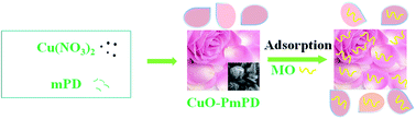 Graphical abstract: Uniform copper oxide–poly(m-phenylenediamine) microflowers: synthesis and application for the adsorption of methyl orange