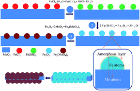 Graphical abstract: Fe2(MoO4)3 nanoparticle-anchored MoO3 nanowires: strong coupling via the reverse diffusion of heteroatoms and largely enhanced lithium storage properties