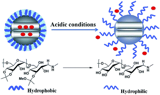 Graphical abstract: Acetalated-dextran as valves of mesoporous silica particles for pH responsive intracellular drug delivery