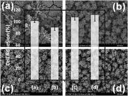 Graphical abstract: 3D-nanoflowers of rutile TiO2 as a film grown on conducting and non-conducting glass substrates for in vitro biocompatibility studies with mouse MC3T3 osteoblast and human HS-5 cells