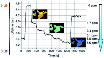 Graphical abstract: Development of organically modified silica nanoparticles for monitoring the intracellular level of oxygen using a frequency-domain FLIM platform