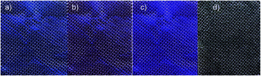 Graphical abstract: Effect of light on physicochemical and biological properties of nanocrystalline silver dressings