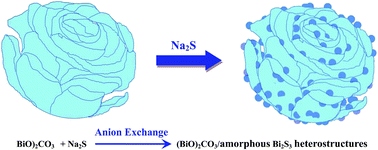 Graphical abstract: An anion-exchange strategy for 3D hierarchical (BiO)2CO3/amorphous Bi2S3 heterostructures with increased solar absorption and enhanced visible light photocatalysis