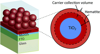 Graphical abstract: Light trapping in hematite-coated transparent particles for solar fuel generation