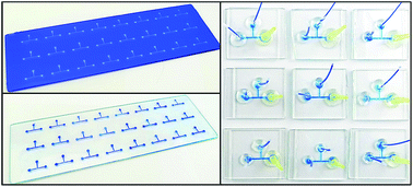 Graphical abstract: Fabrication of glass-based microfluidic devices with dry film photoresists as pattern transfer masks for wet etching