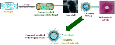 Graphical abstract: Antibacterial nanocomposite hydrogels for superior biomedical applications: a Facile eco-friendly approach
