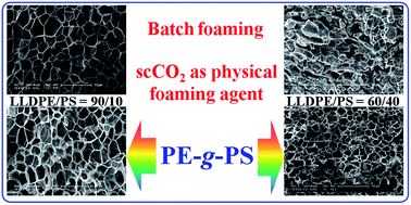 Graphical abstract: Interplay between the composition of LLDPE/PS blends and their compatibilization with polyethylene-graft-polystyrene in the foaming behaviour