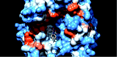 Graphical abstract: Metal complexes of tosyl sulfonamides: design, X-ray structure, biological activities and molecular docking studies