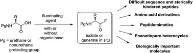 Graphical abstract: Amino acid fluorides: viable tools for synthesis of peptides, peptidomimetics and enantiopure heterocycles