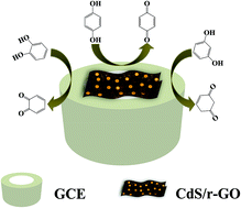 Graphical abstract: One step synthesis cadmium sulphide/reduced graphene oxide sandwiched film modified electrode for simultaneous electrochemical determination of hydroquinone, catechol and resorcinol